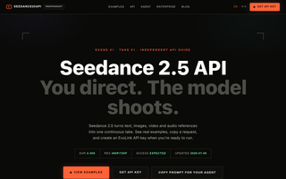Seedance 2.5 API screenshot
