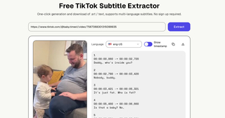 TikTok Transcription Generator screenshot