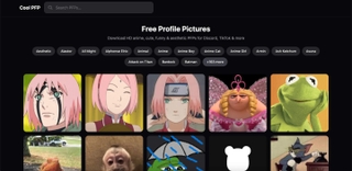 Cool PFP screenshot