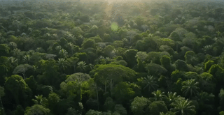 Seedance 2.5 AI Video Generator screenshot