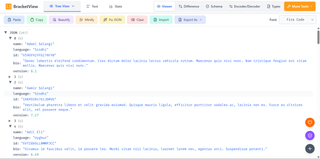 BracketView screenshot
