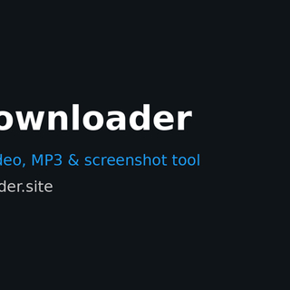 X Downloader screenshot