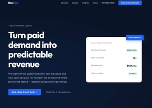 Blue Digix screenshot
