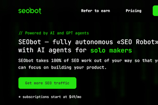 SEObot screenshot