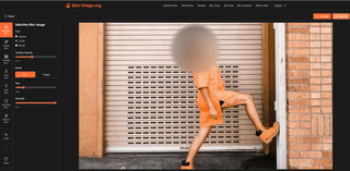 Blur Image Tool – Protect Your Privacy with Precision screenshot