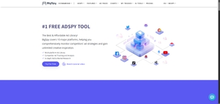 BigSpy screenshot