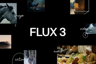 Flux 3 Video screenshot