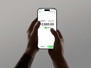Nook Savings: A savings app that earns 3x your bank - iOS only screenshot
