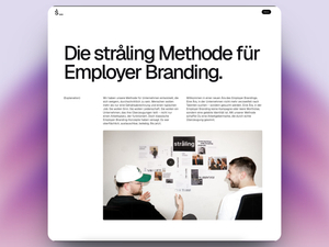 straling GmbH screenshot