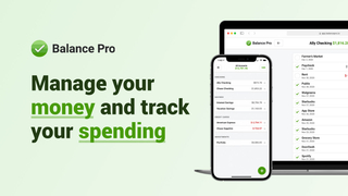 Balance Pro screenshot