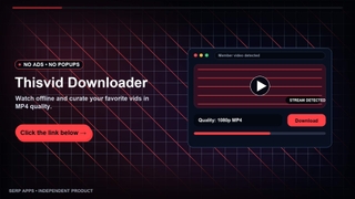 ThisVid Video Downloader screenshot