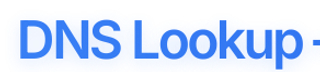 DNS Lookup – Check Records Instantly screenshot