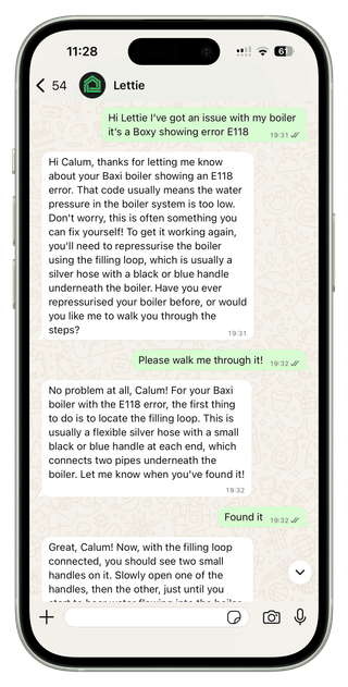 AskLettie screenshot