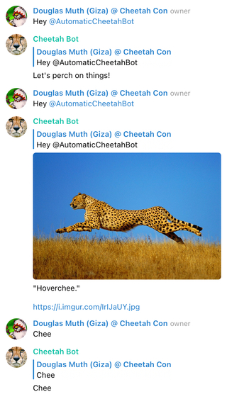 Cheetah Bot screenshot