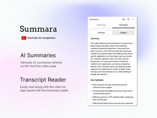 Summara : YouTube AI Summary and Transcript widget screenshot