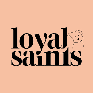 Loyal Saints screenshot
