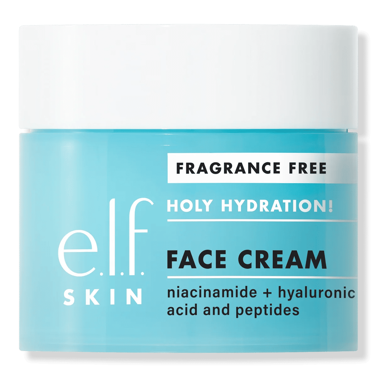 Fragrance Free Holy Hydration! Face Cream