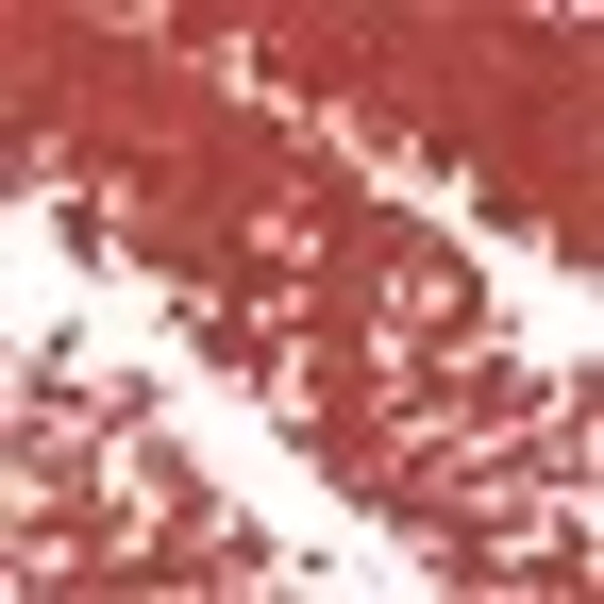 Lip Contour 2.0 Automatic Matte Lip Pencil