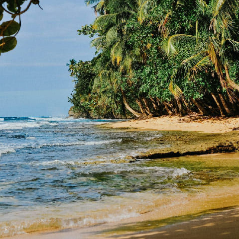 Caribbean Beaches