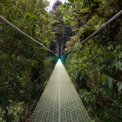 Monteverde
