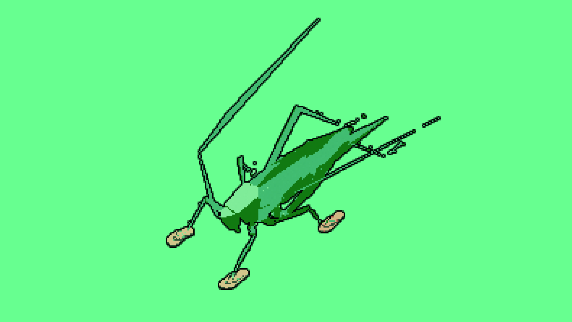 A cricket being aggressive