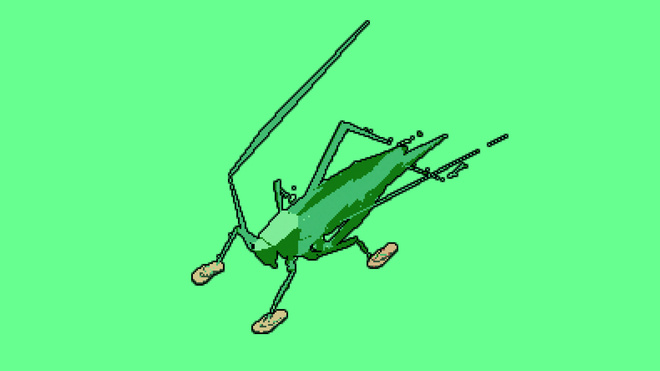 A cricket being aggressive