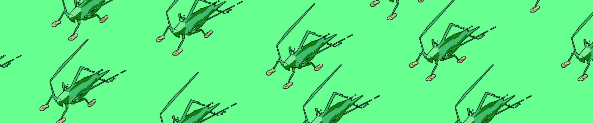 A cricket being aggressive