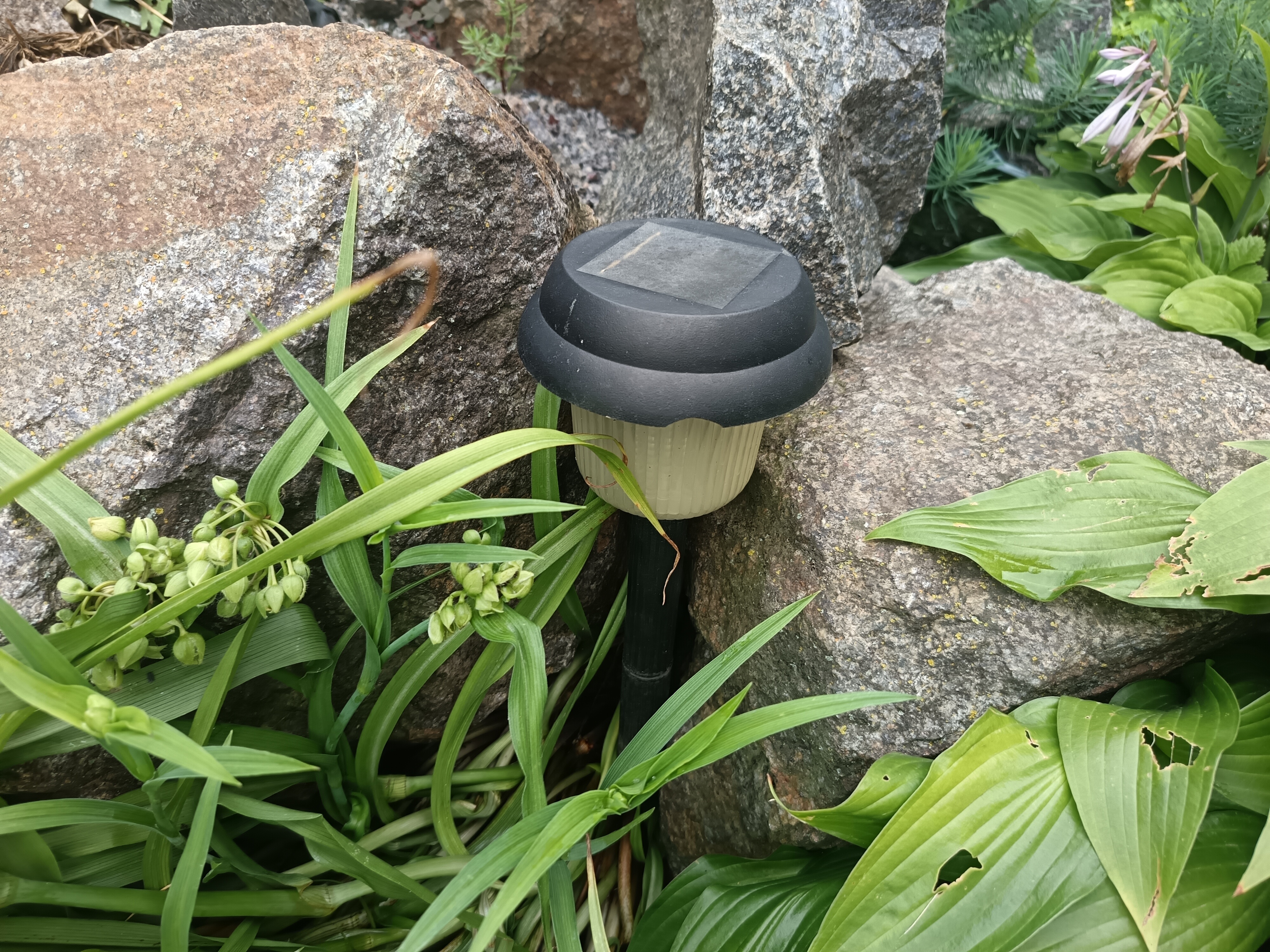 Garden light
