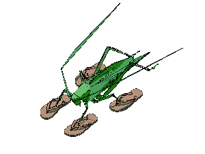 a cricket because why not