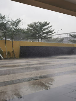 Meadow Oaks International