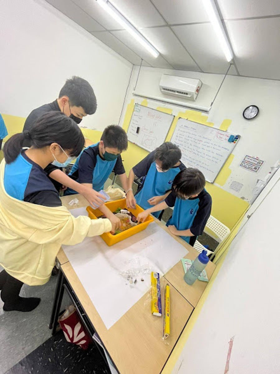 Crownston IGCSE Learning Center