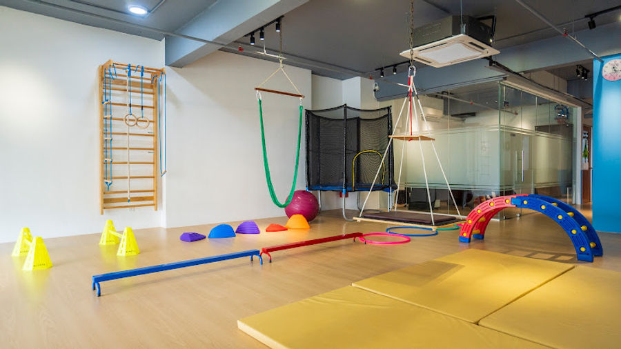 The Integrative Academy (Special Needs Education Kepong)