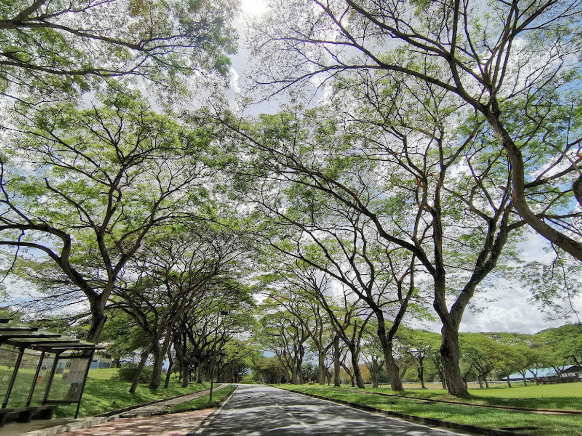 UTM INTERNATIONAL, UTM Johor Bahru - Photo 3