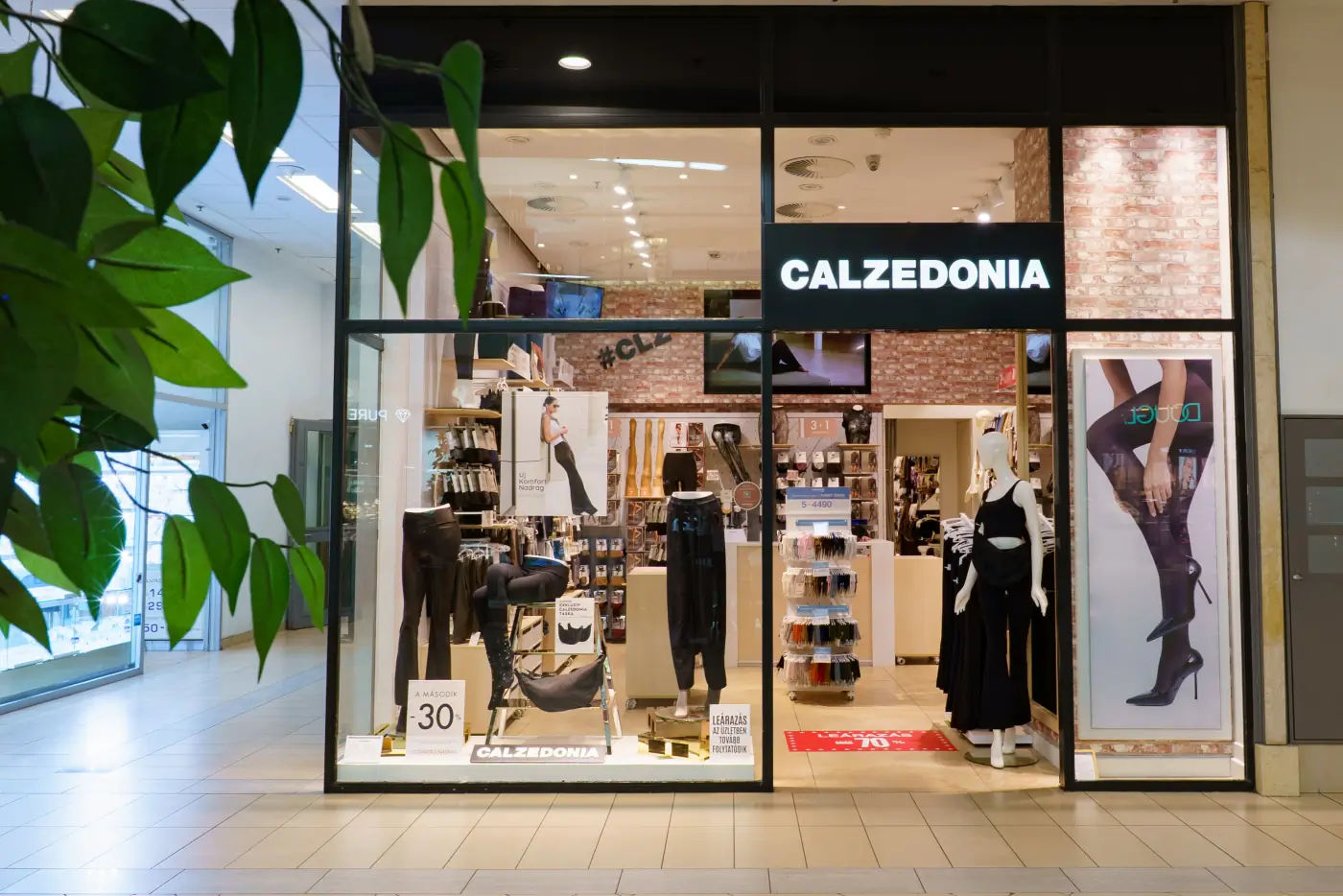 Calzedonia üzlet