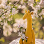 žaislai | minkšti | geltona žirafa, žaislas žirafa, pliušinė