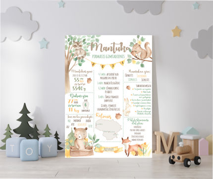 dekoracijos | metrikai | Pasiekimų, pirmojo gimtadienio plakatas,