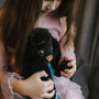 žaislai | minkšti | žaislas juodas triušis. ilgis 50 cm matu