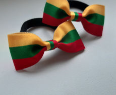 Plaukų gumytės ar segtukai 2 vienetai tautines lietuvos vėliavos spalvų 