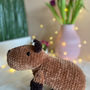 Dovanos | gimtadieniui | iš pliušinių siūlų nerta kapibara amigur