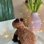 Dovanos | gimtadieniui | iš pliušinių siūlų nerta kapibara amigur