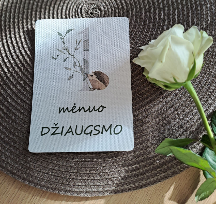 Kūdikio mėnesių kortelės fotosesijoms miško žvėreliai Dovanos | naujagimiams | kūdikio mėnesių kortelės fotosesijoms mi