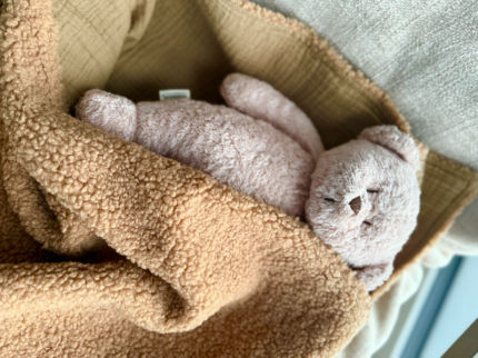 aksesuarai | pledukai | Teddy boucle ir muslino pladukai yra įva