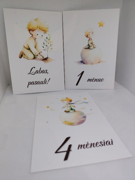 dekoracijos | metrikai | Mėnesių kortelės naujagimiui mažasis pri
