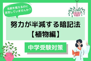 一回単発コース