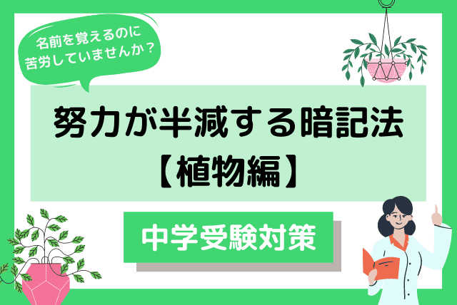 一回単発コース