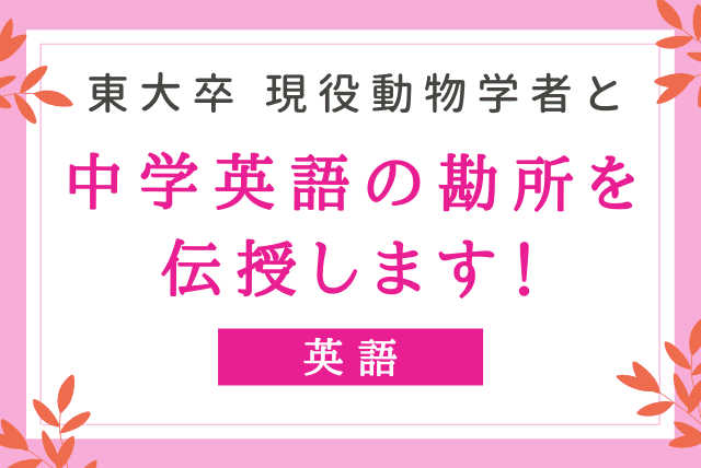 【英語実践＆探求＊中学コース】 　東大卒 現役動物学者が中学英語の勘所を伝授します！