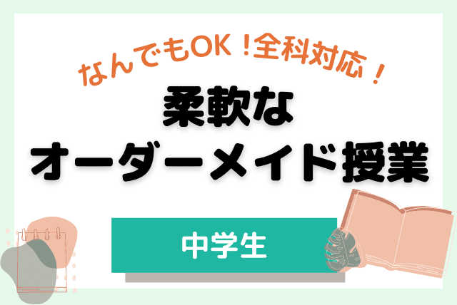 【中学生】柔軟なオーダーメイド授業(なんでもOK!)