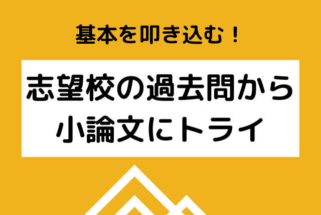 院卒ライターと日本語の基本を叩き込む！志望校の過去問から小論文にトライ！（添削・解説、60分×4回）