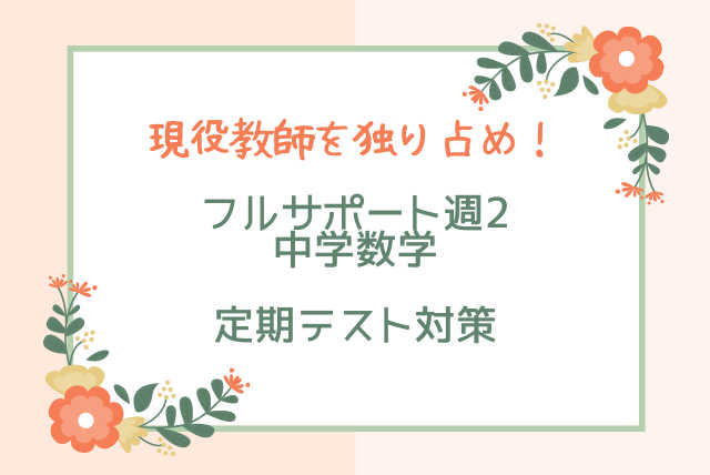 現役教師を独り占め！フルサポート【数学週2】※チャットあり