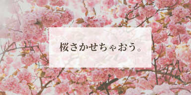 【冬季講習(小中ほぼ全科)】自由に増やせる1回用